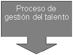 Globo: flecha hacia abajo: Proceso de gesti�n del talento