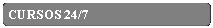 Rect�ngulo: esquinas redondeadas: CURSOS 24/7